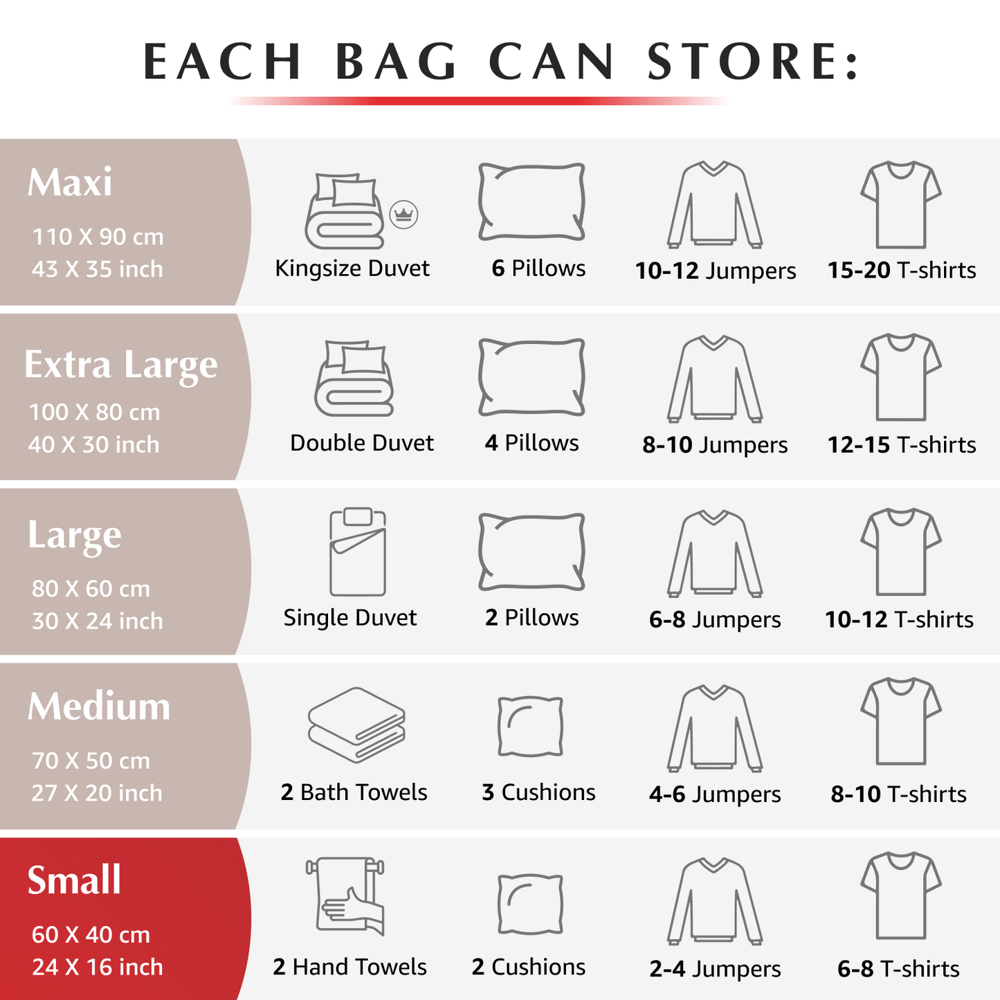 Premium Small Bags - 6 Pack (inc Pump)